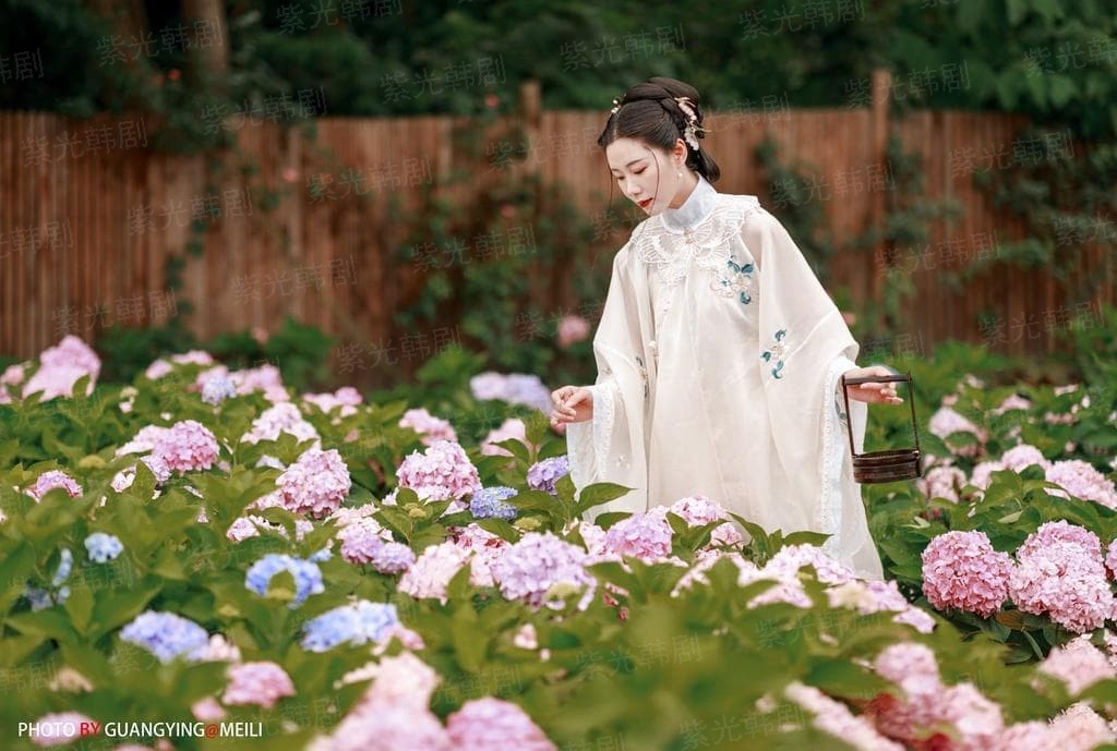 精装追女仔2004粤语网盘
